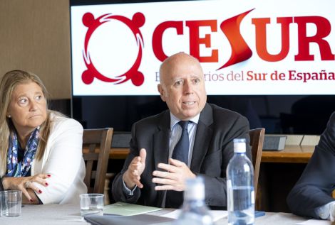 CESUR - Asociación de Empresarios del Sur de España