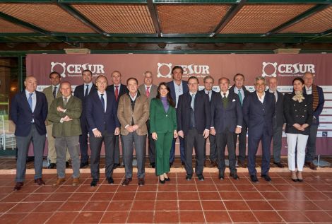 CESUR - Asociación de Empresarios del Sur de España